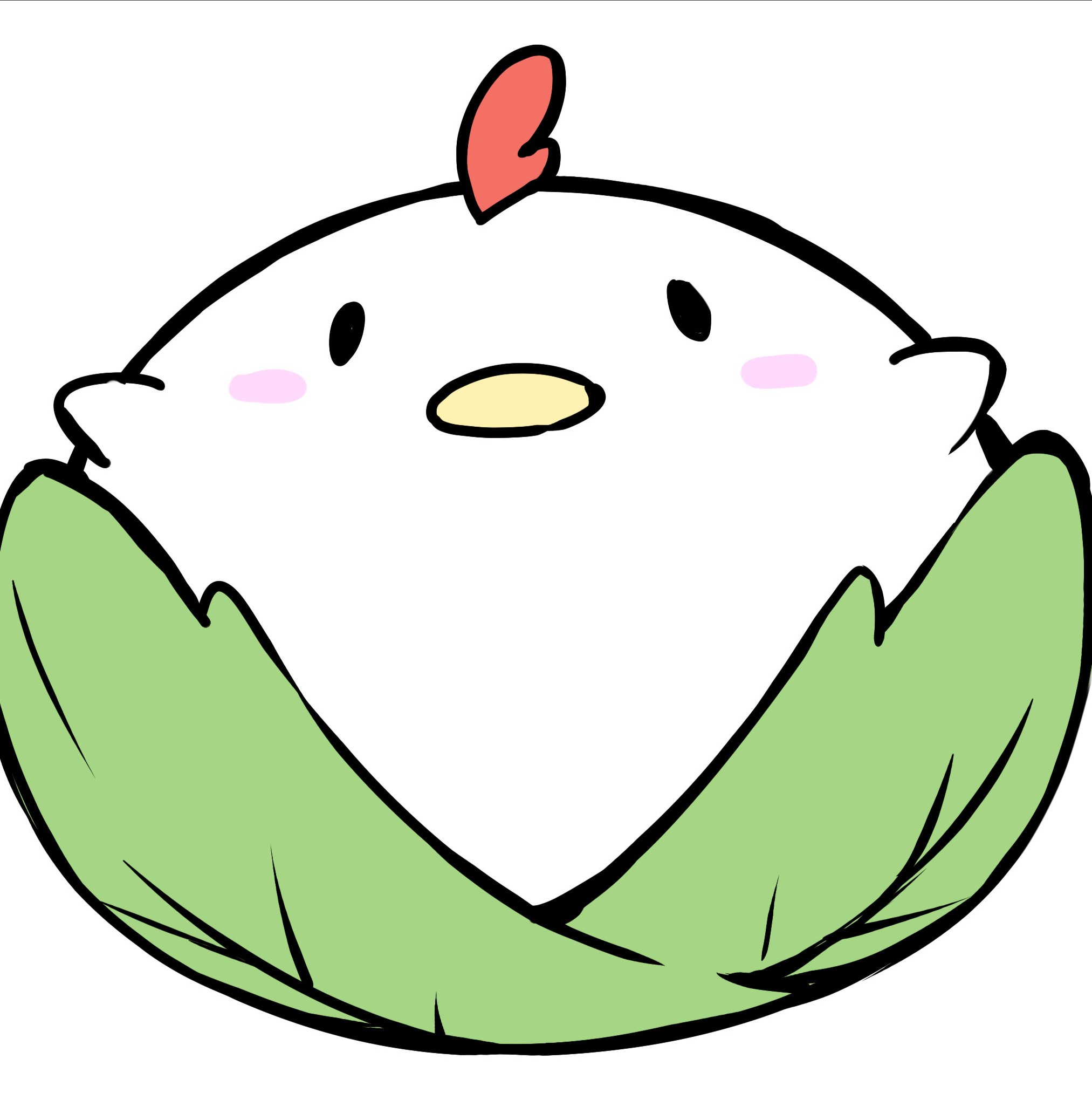 Cabbage Soft
