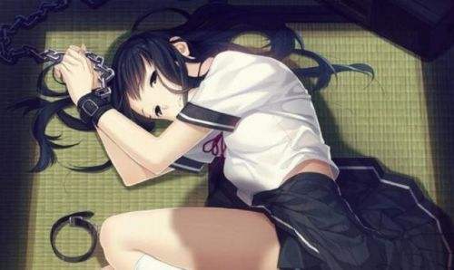 【PC】（SLG）监禁少女reunion