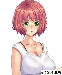 相田夏子的角色图片