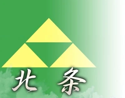 北条家的角色图片