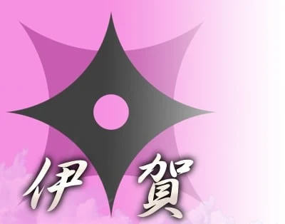 伊贺家的角色图片
