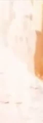 ？？？的角色图片