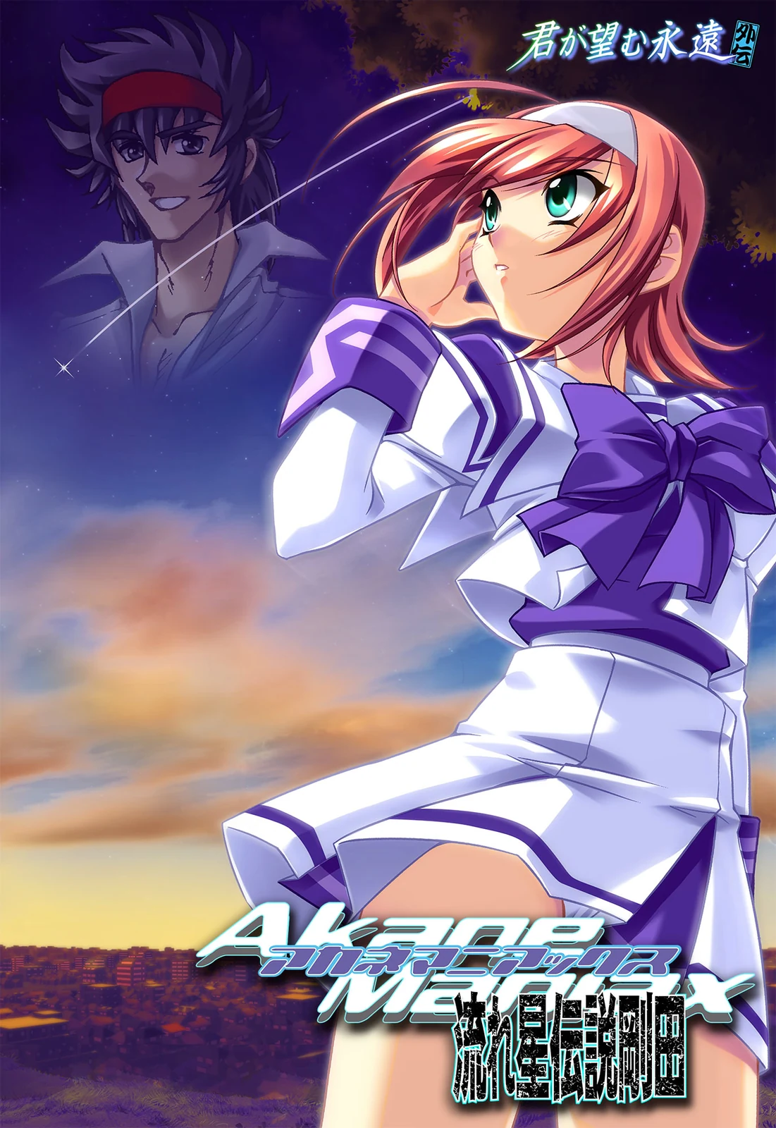 《Akane Maniacs～流星传说刚田～》游戏封面