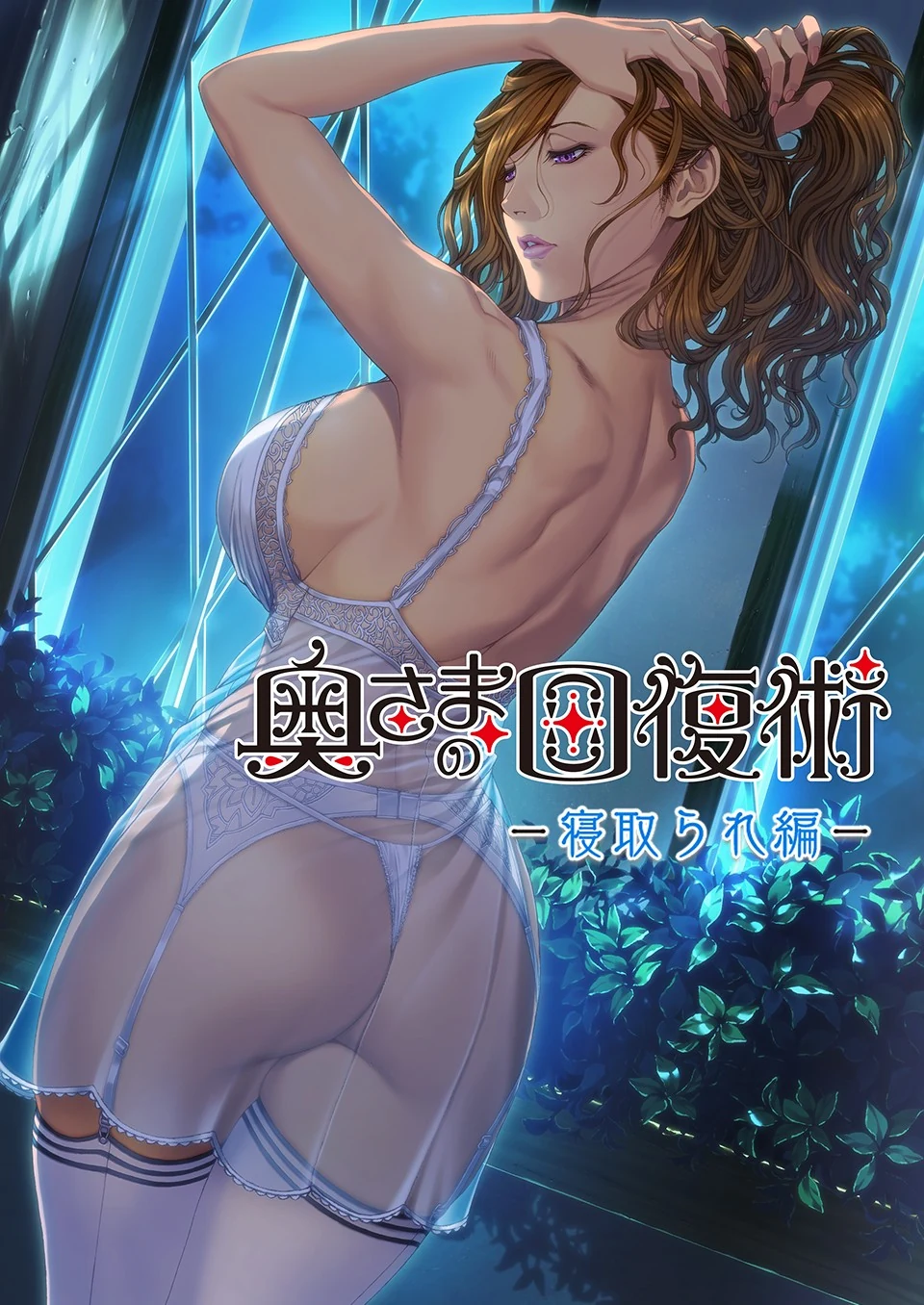 《太太的恢复术 夺爱篇》游戏封面