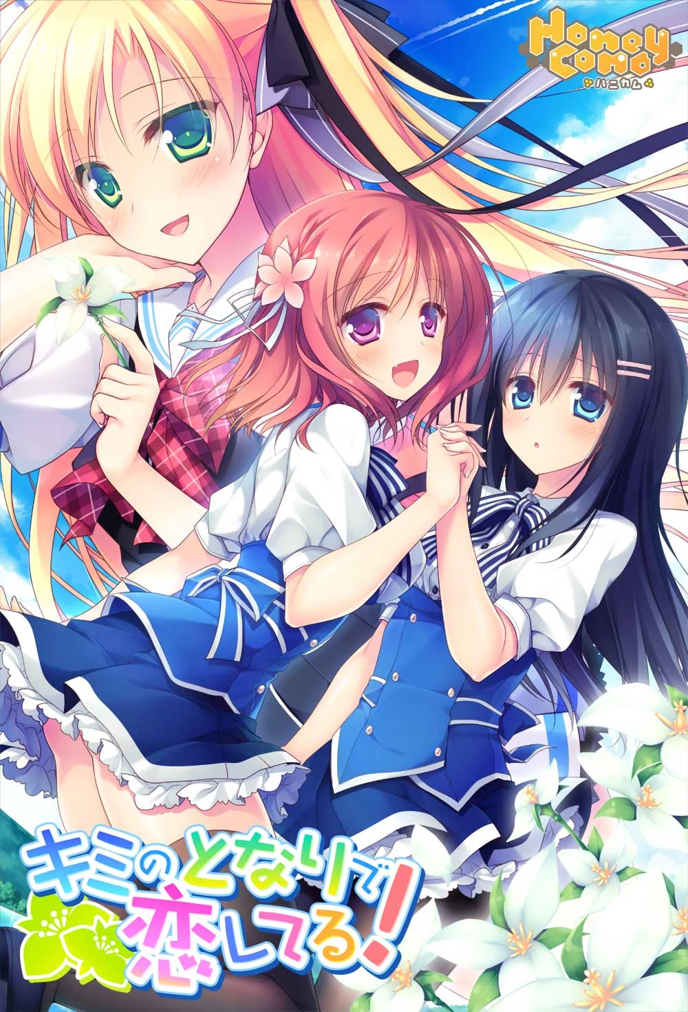 《慕情之心今随君作伴》游戏封面