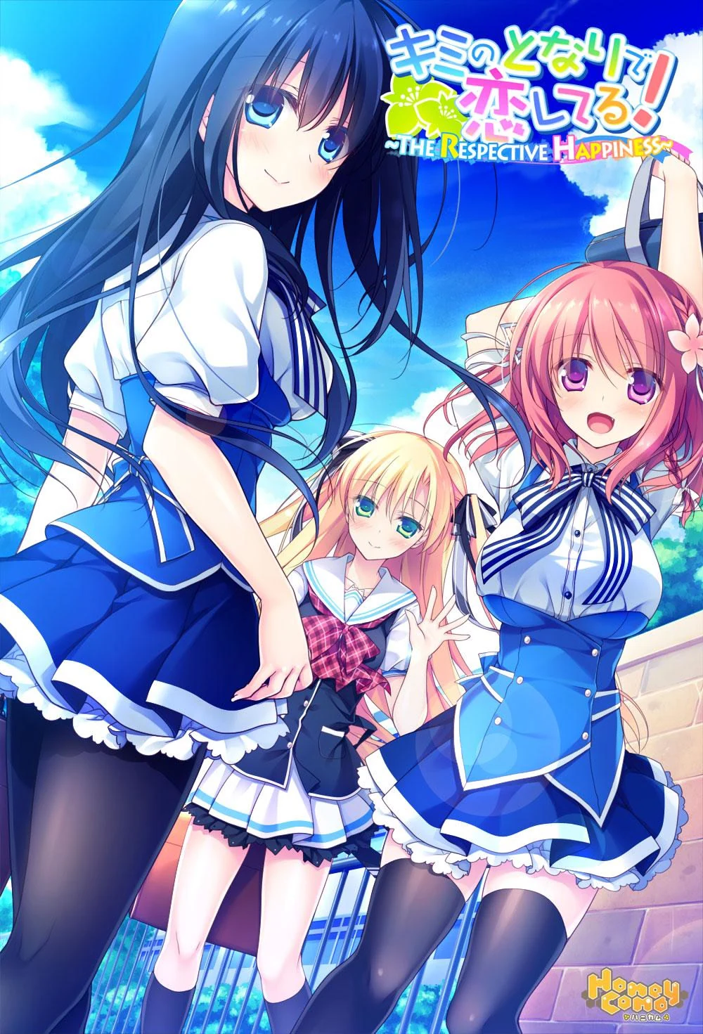 《慕情之心今随君作伴 ~The Respective Happiness~》游戏封面
