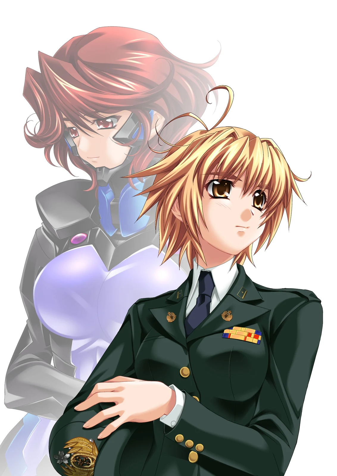 《Muv-Luv Alternative Chronicles 继承》游戏封面